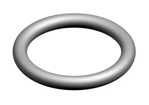 BOSCH O-Ring in runder Form, sichtbar in grauer Farbe, auf hellem Hintergrund. Ideal zur Abdichtung in verschiedenen Anwendungen.